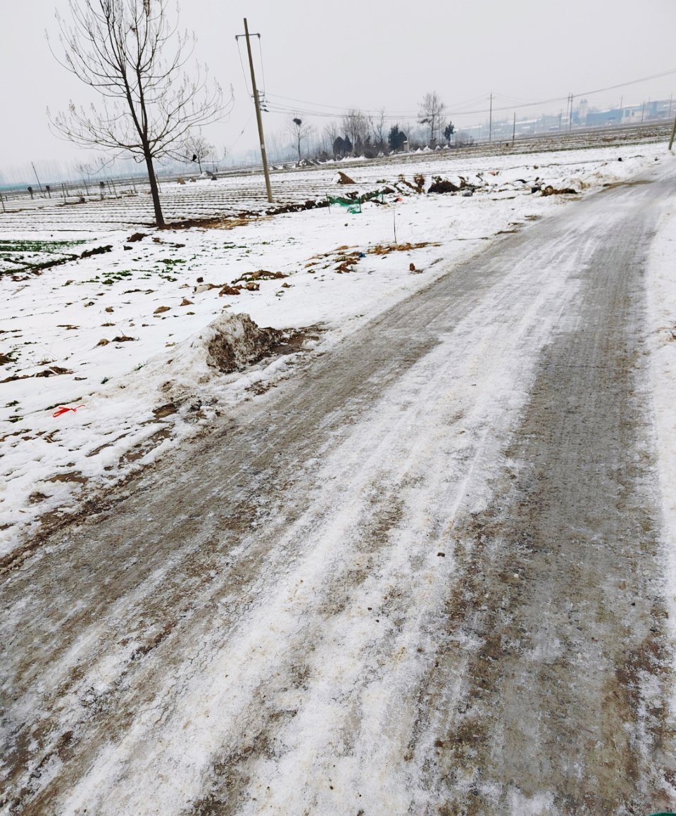 多地将有大到暴雪  赶紧看了看天气预报，我们这里没有雪，但也降温了，今天有风，明