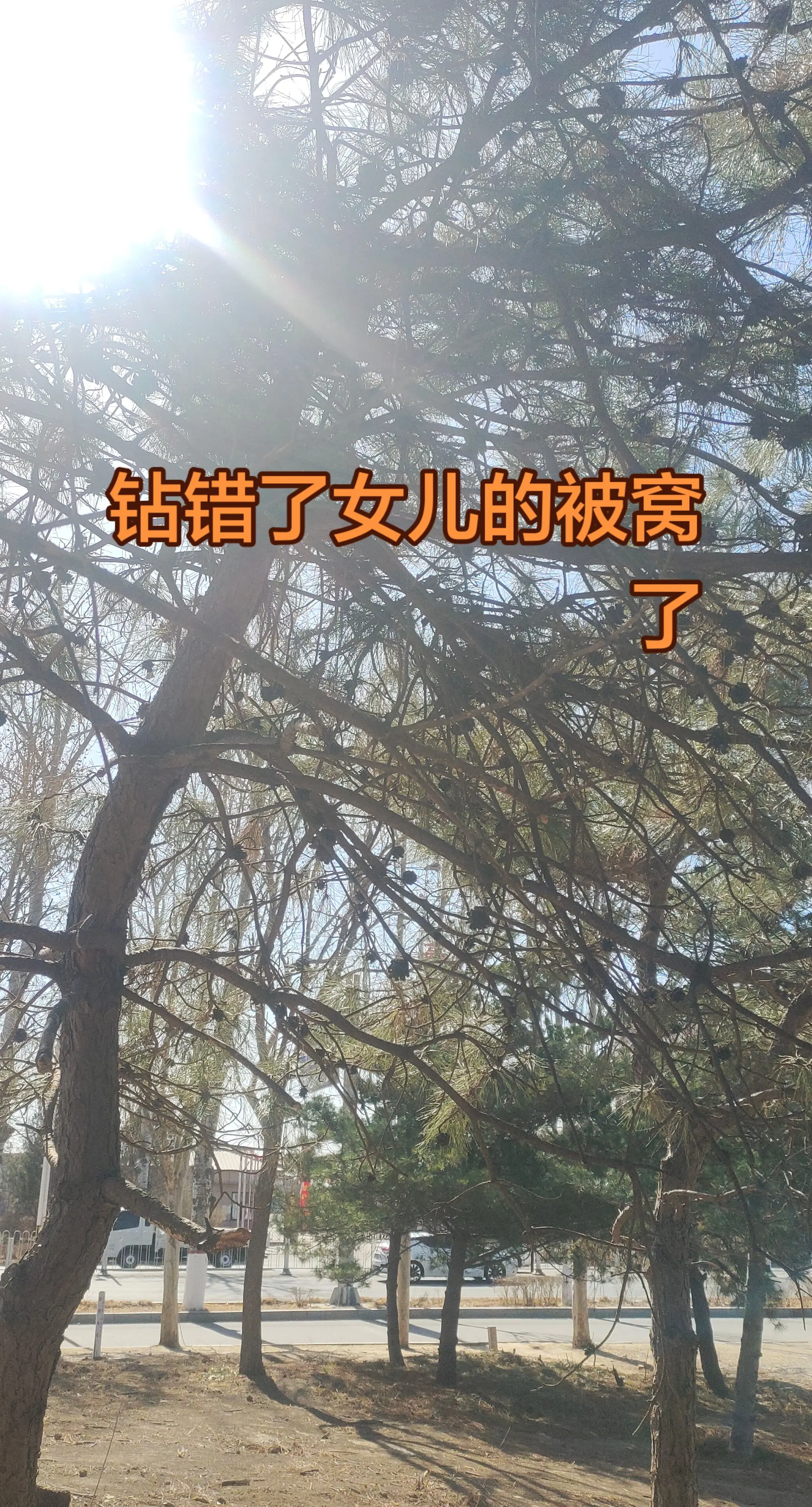 每日更新