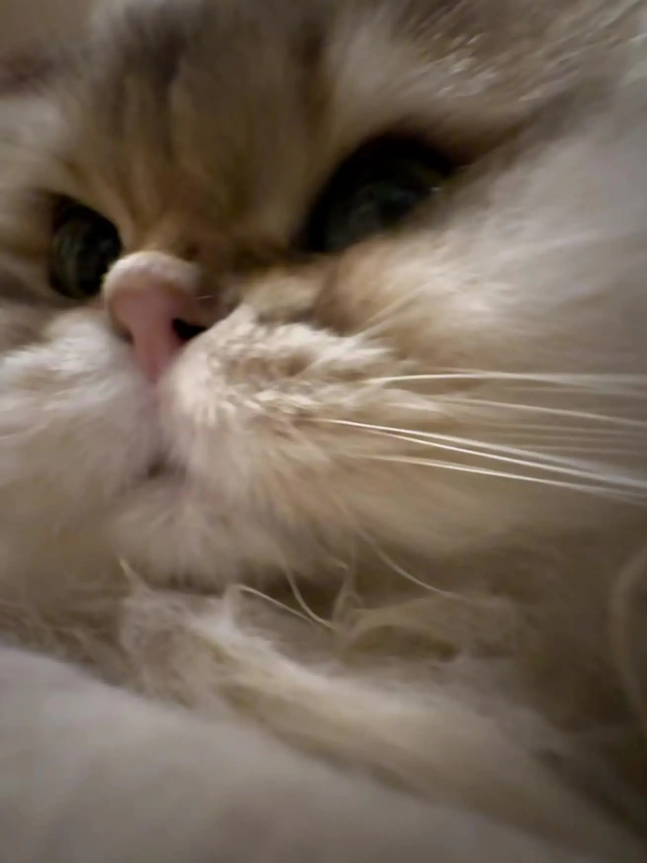 我们的距离好像有点暧昧了