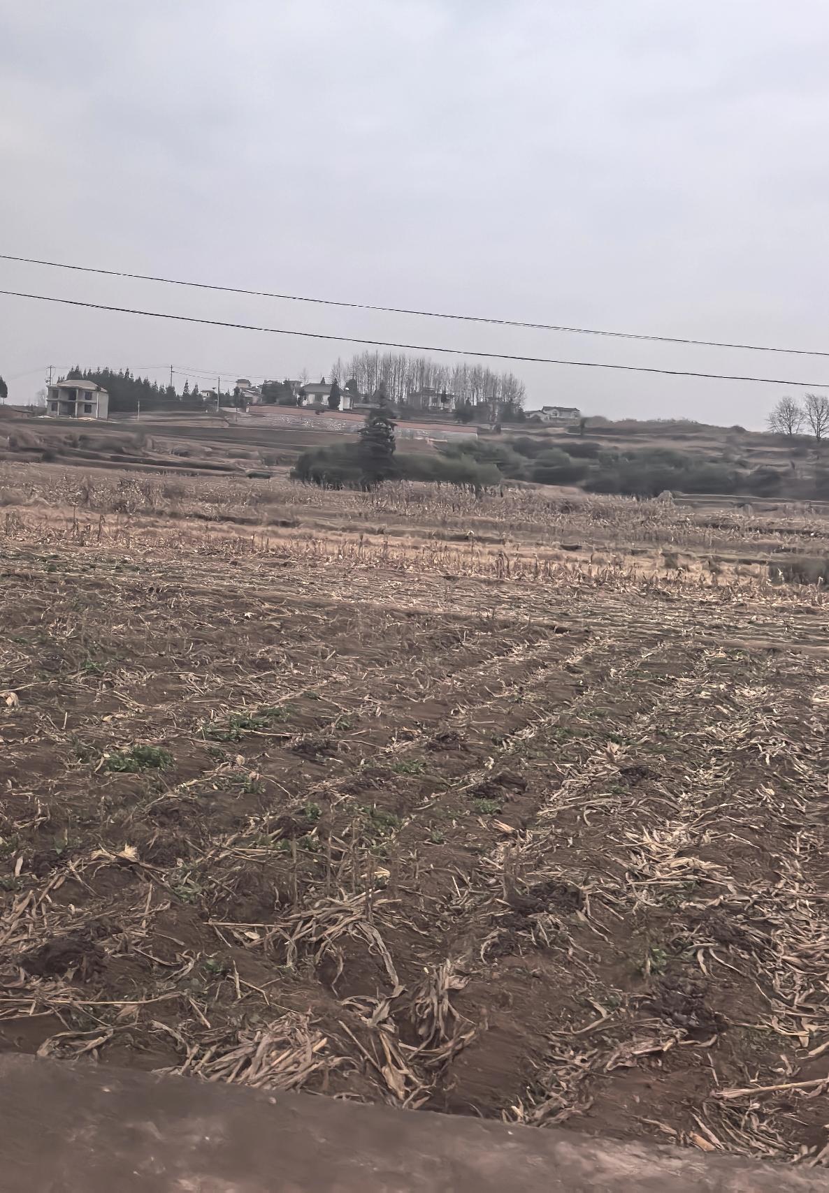 事业单位养老保险制度改革设置了十年过渡期，而在过渡期前三年退休的人员被称作“早退