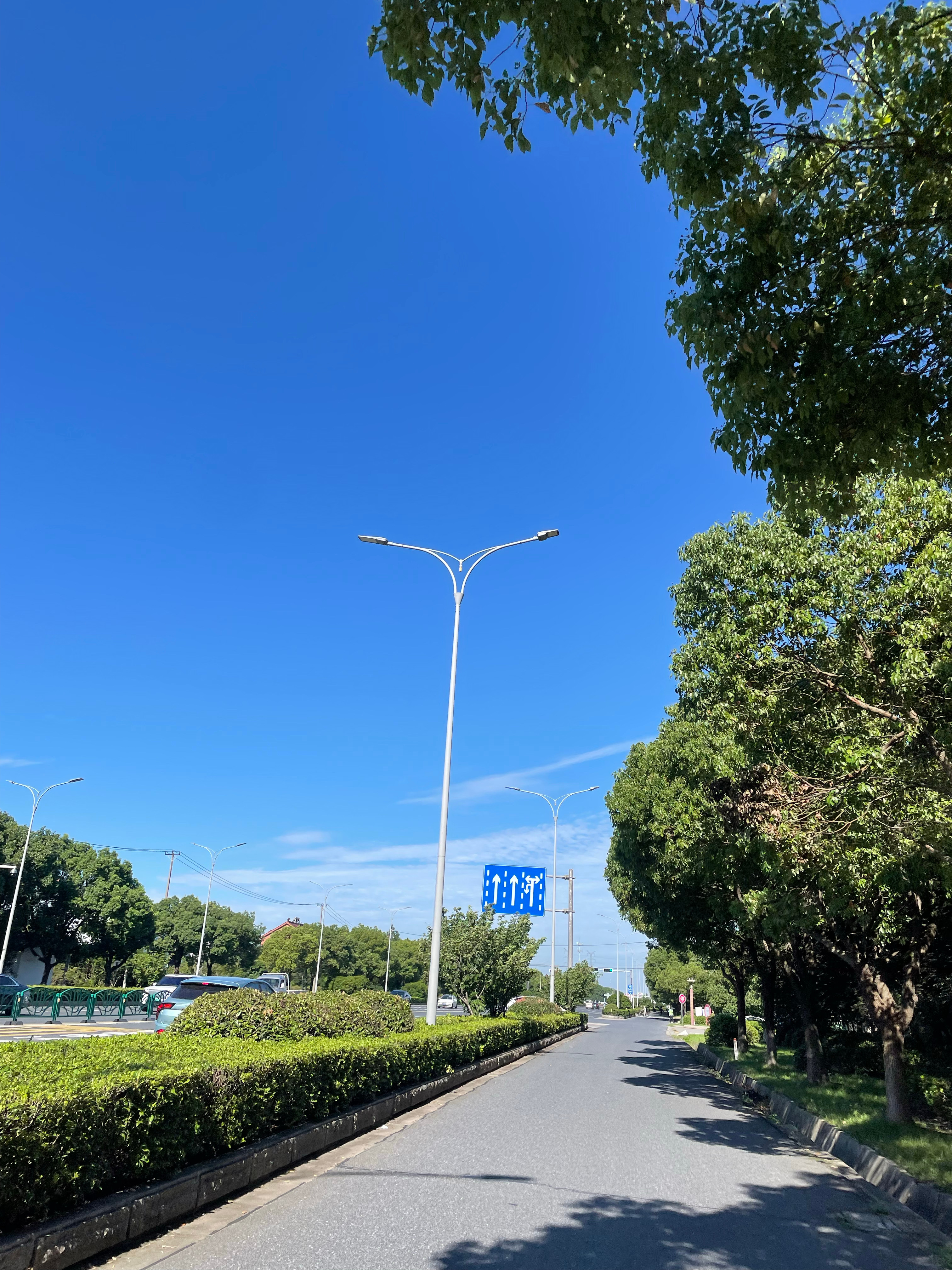 台风巴威也不知道有没有拐弯走 反正今天的天气很好 风和日丽太阳高照热热热☀️ 