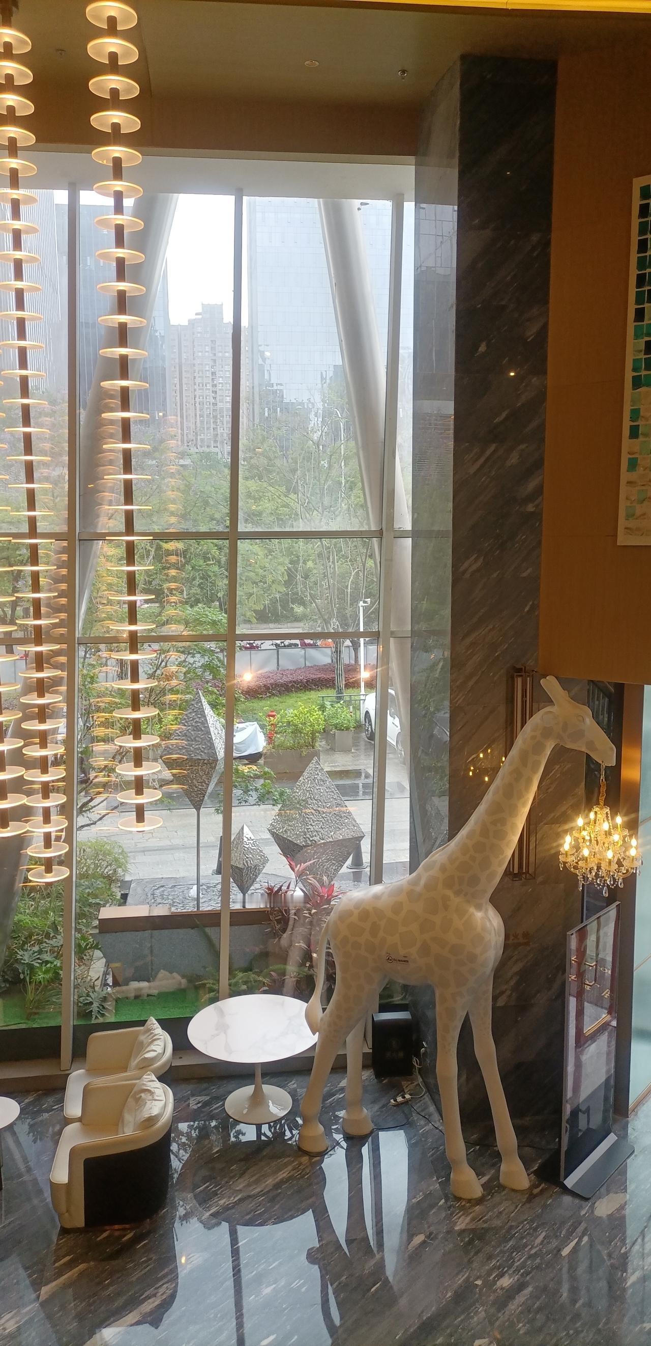 【春之韵·爱是最好的教育】春日生活打卡季

爱是最好的教育。
今天，即4月30日