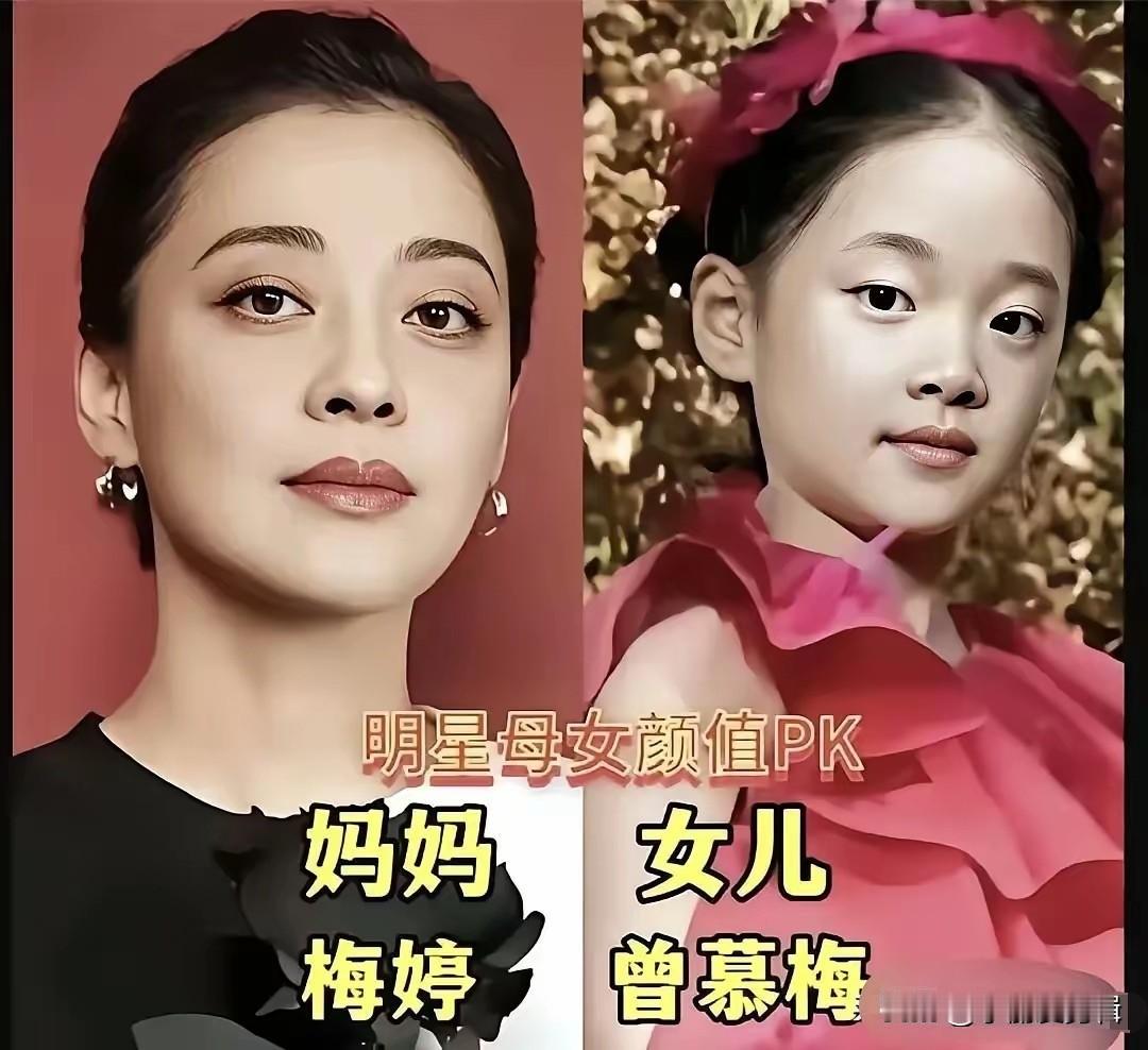 梅婷的女儿
章子怡的女儿
戚薇的女儿
翁虹的女儿
娱乐圈里有不少明星母女，颜值气