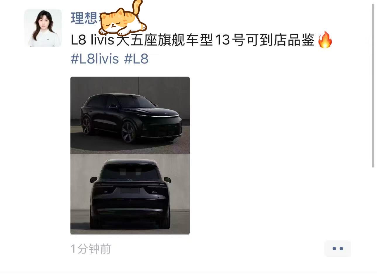 可以，周六就可以看 L8了发布之前先看车，也挺好… 