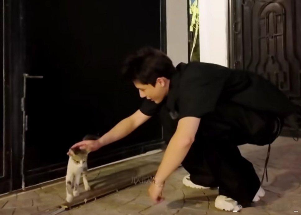 #王安宇[超话]# 笑死我了，有点可爱[允悲][允悲]试图和猫猫沟通的一生，我还
