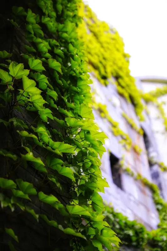 央视主持人朱迅抗癌近20年，太让人敬佩了。17岁她被确诊血管瘤，34岁又查出甲状