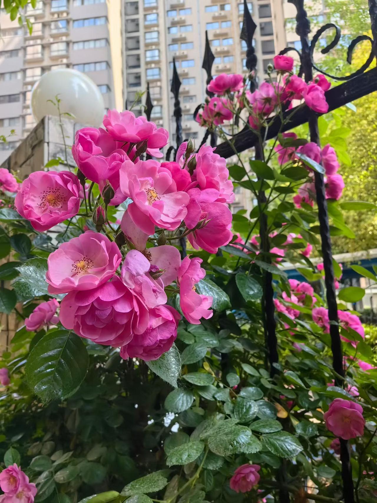 上联：春览万朵花开，
下联：秋观千树叶落。