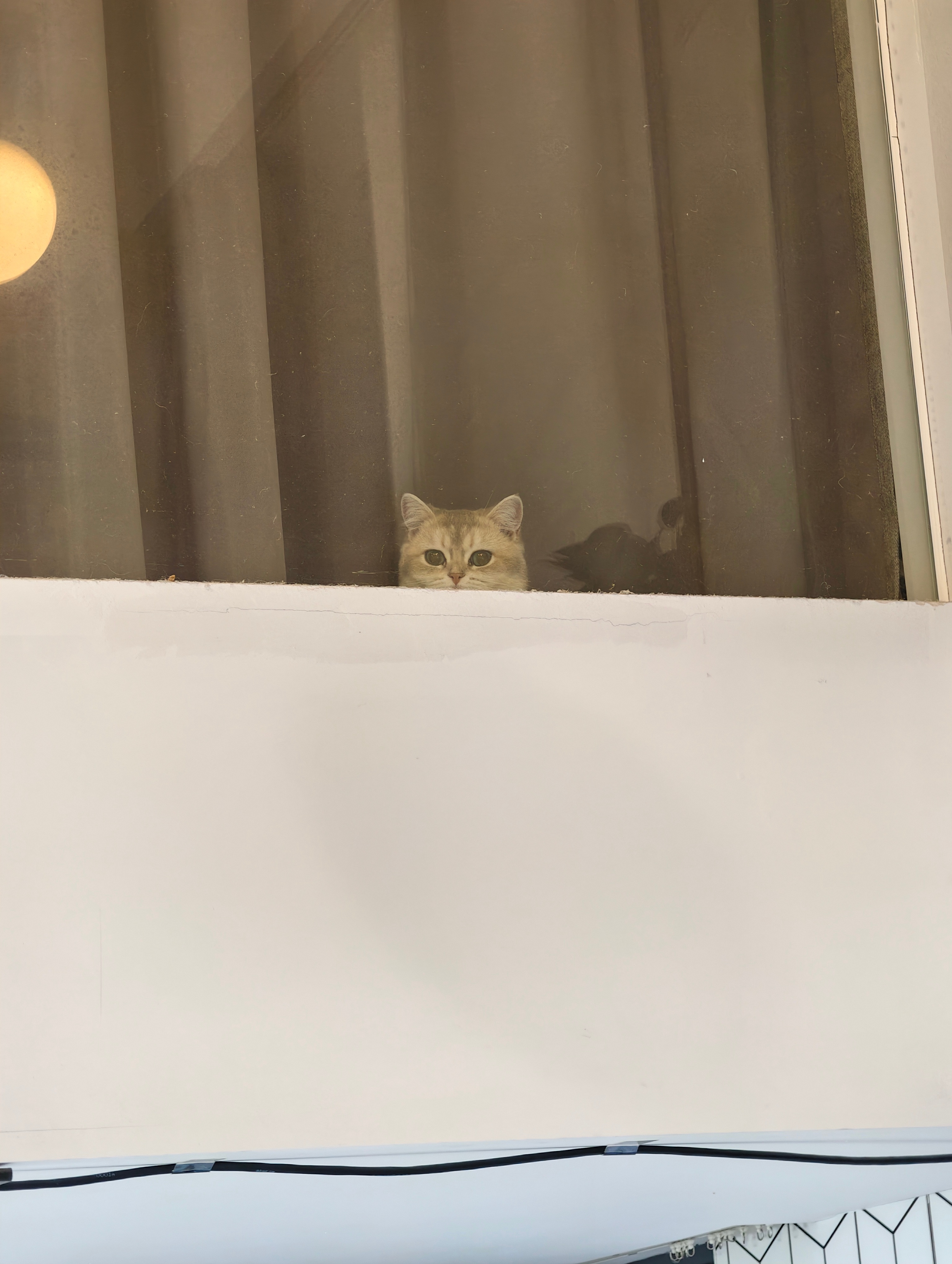 中午上吐下泻，忽冷忽热，眼前漆黑，脚软无力晚上已经可以陪李女士搞美甲了我可太行了