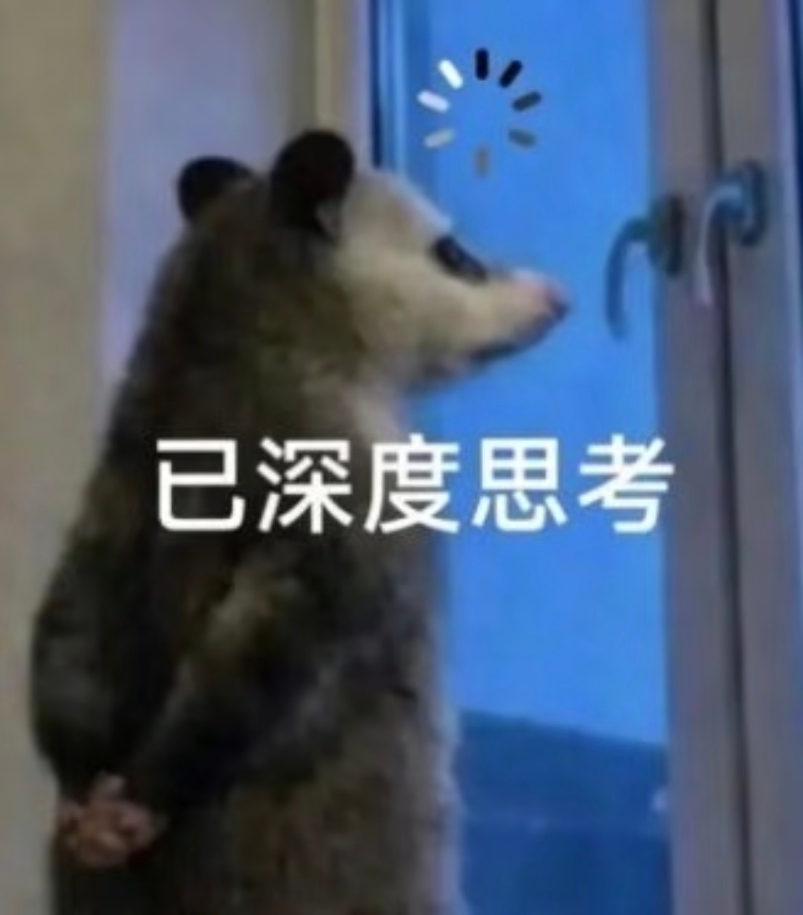 好了 现在每天不是在追剧就是在追剧的路上 
