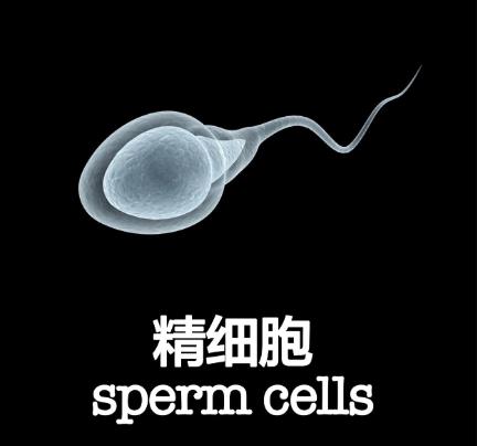 自己的亲生孩子，越长越像前任男友，换你能接受吗？

孩子明明不是跟前任生的，却长