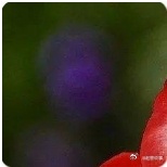巴菲特曾说：“你人生最重要的决定，是跟什么人结婚。”人这一生，选择伴侣结婚，真的