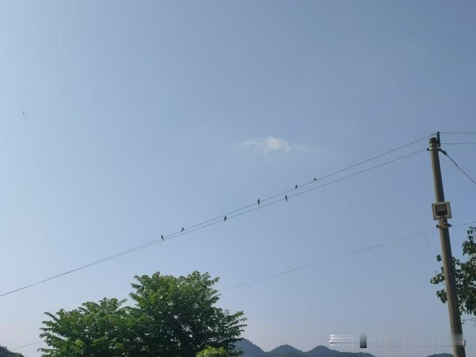 夏日生活打卡季