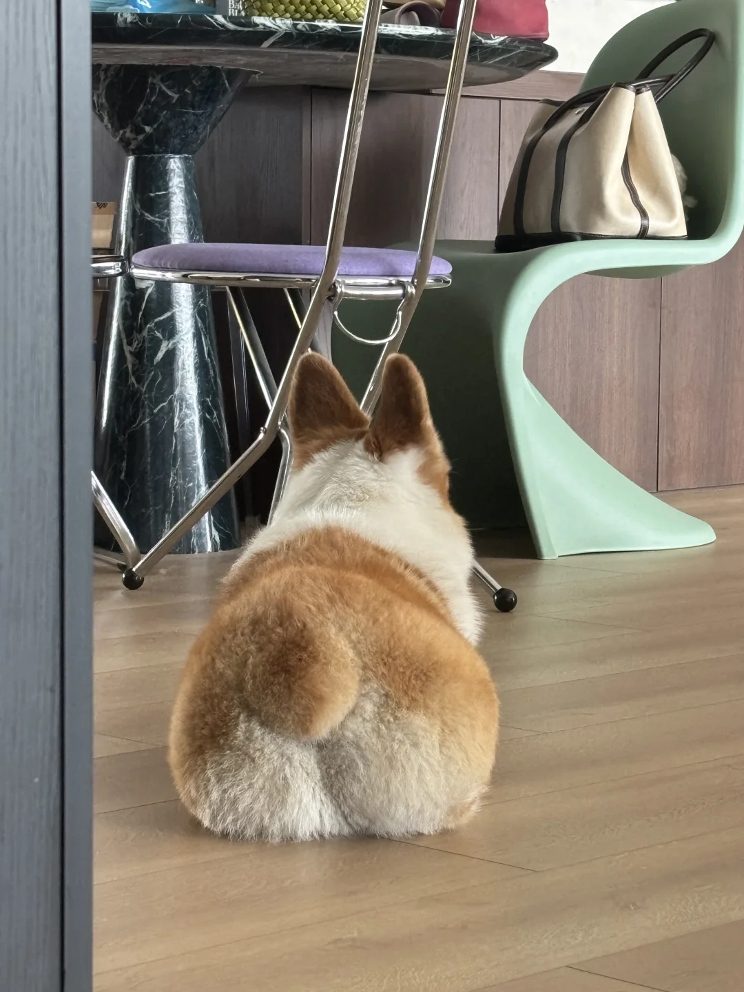 守株待兔🐰🍞