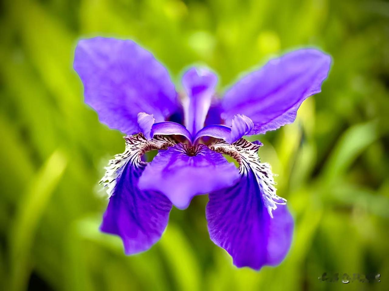 举起殷切的希冀
            （原创）


只有阳光的纯粹
才能拢起温