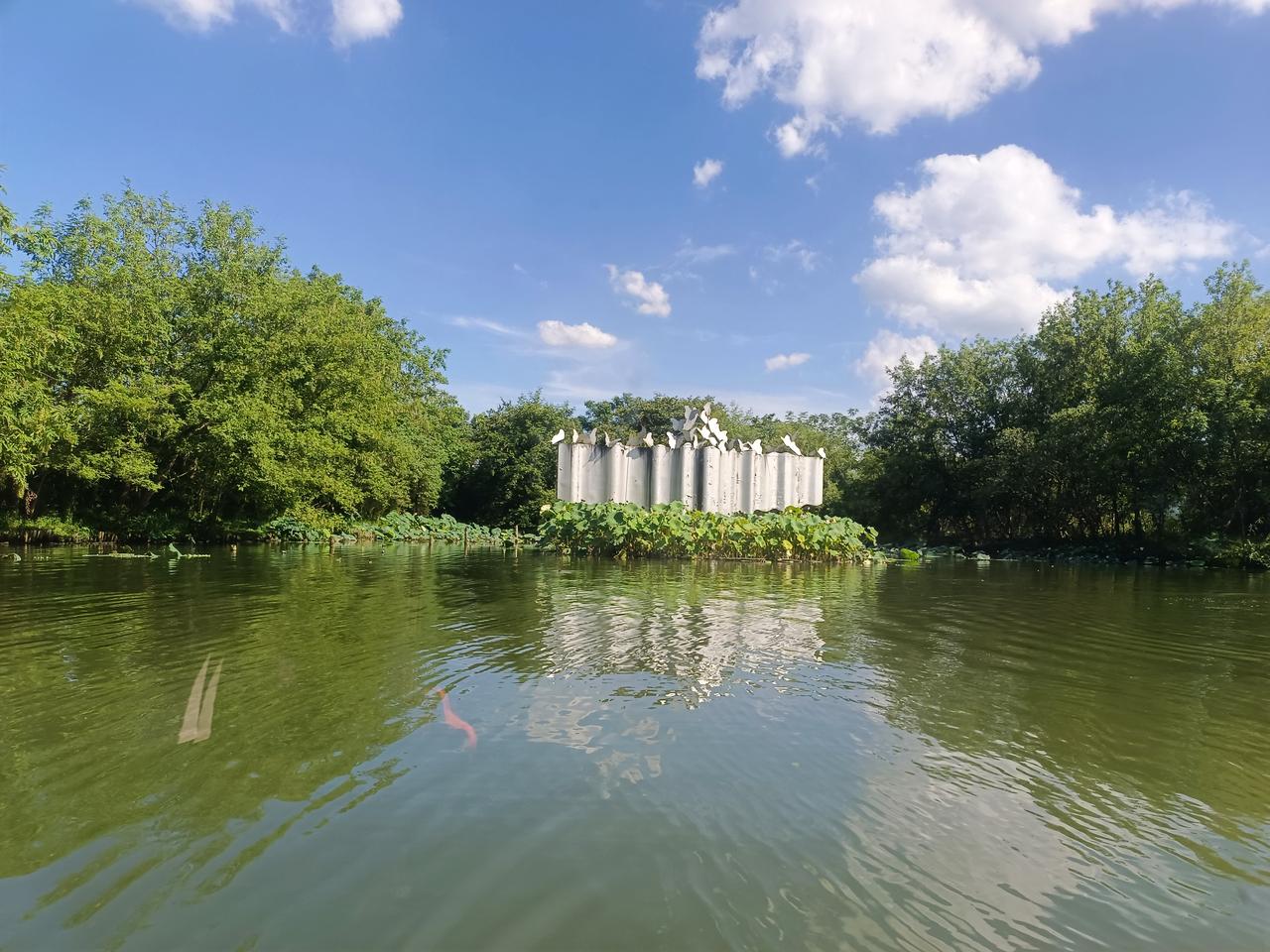 杭州西溪湿地公园那风景，简直美到犯规！
一走进公园，满眼的绿色就扑面而来。河道蜿