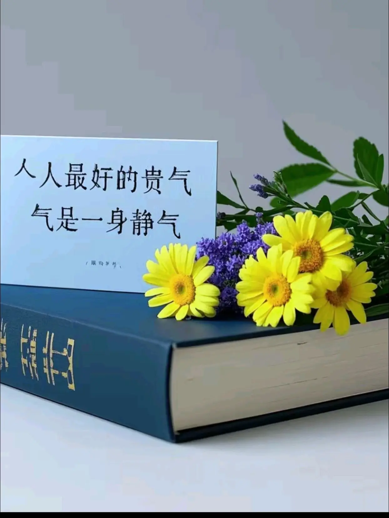 人的贵气是一身静气， 何为静气，慢，定，少言，稳，则静