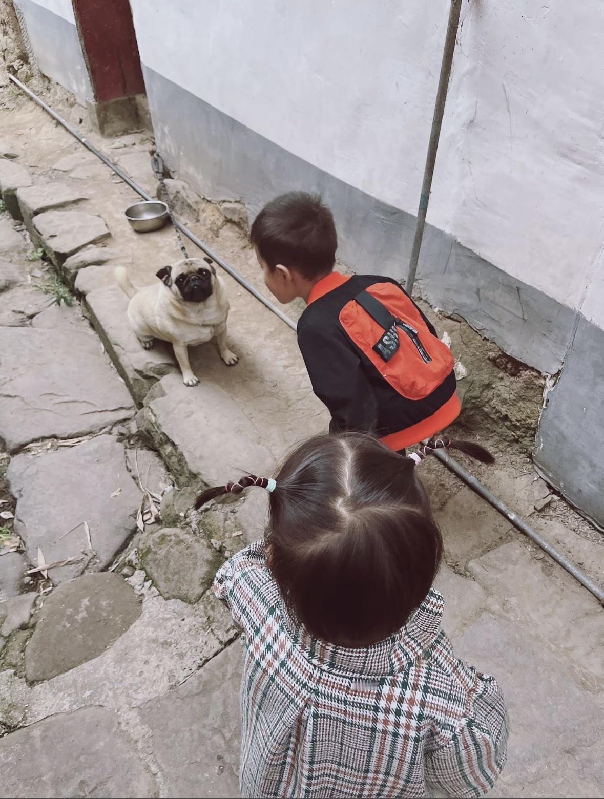 回乡下老家，撞见这么一幕。

两个小娃娃蹲在巷口，盯着一只小狗看了半天。

小狗