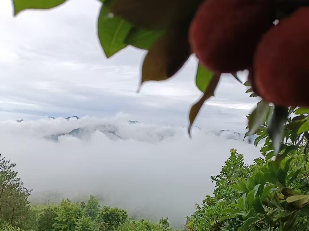 快来看看我新换的主页背景吧