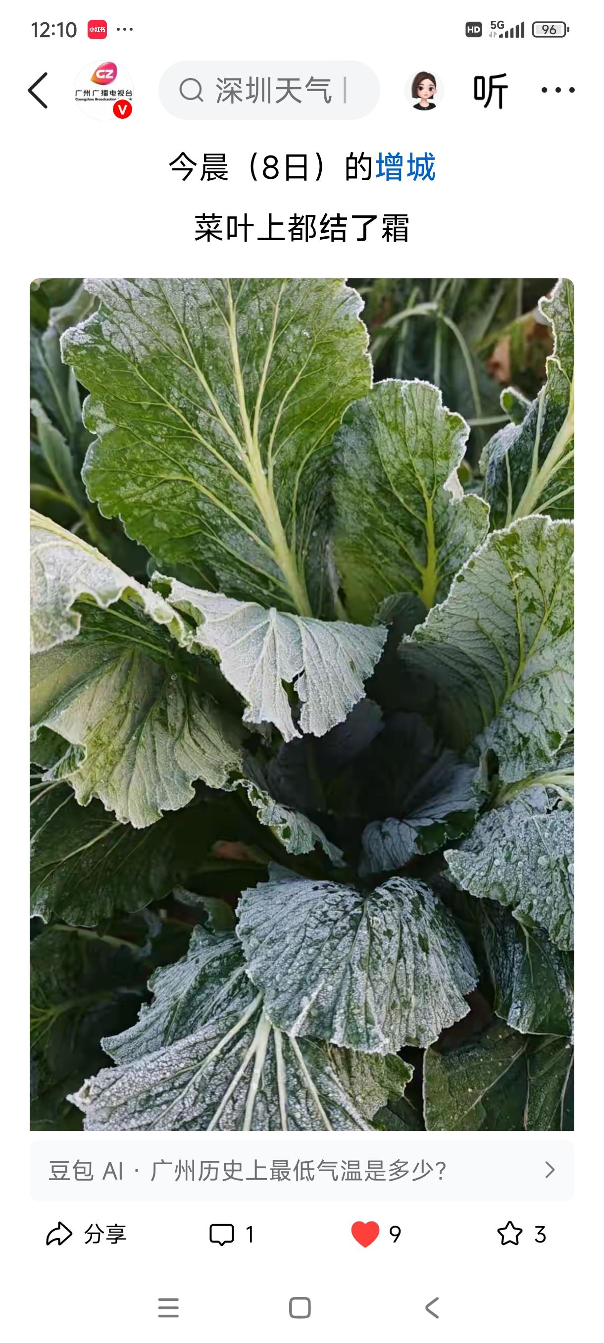 北方有瑞雪兆丰年的说法，其实对于广州地区的增城也是有好处的，因为增城的迟菜心也是