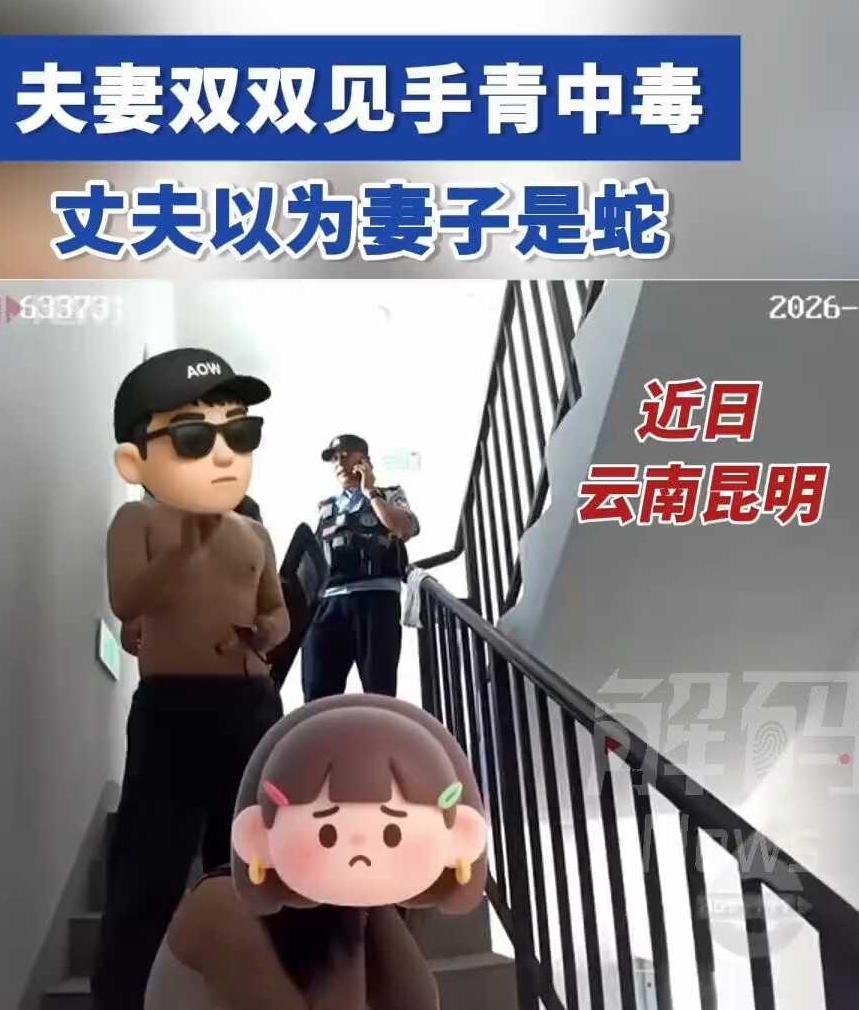 近日，昆明。一对夫妻双双见手青中毒，丈夫以为妻子是蛇，两人在楼道内缠斗扭打。
据