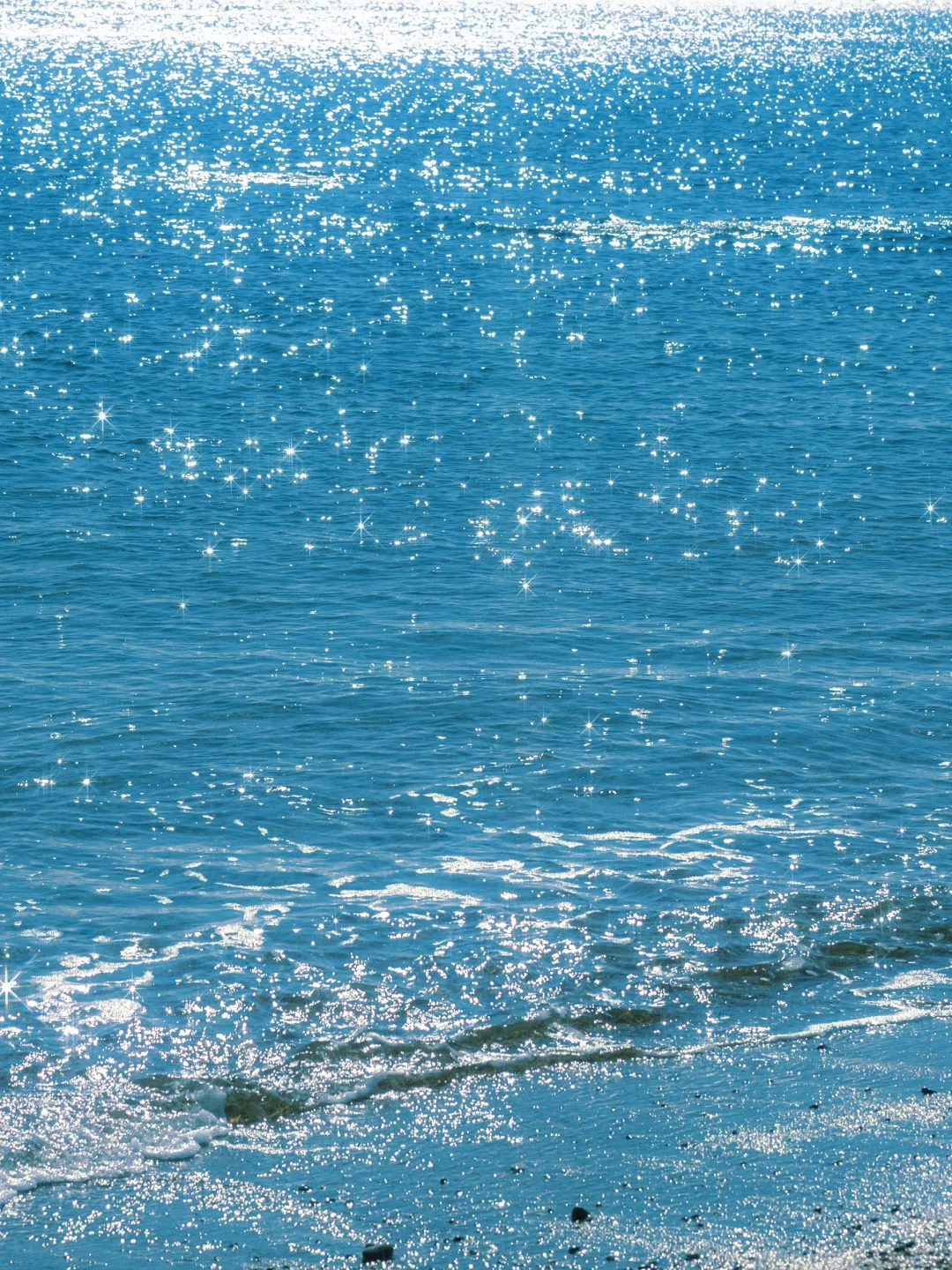 🌊｜坠入星星之海