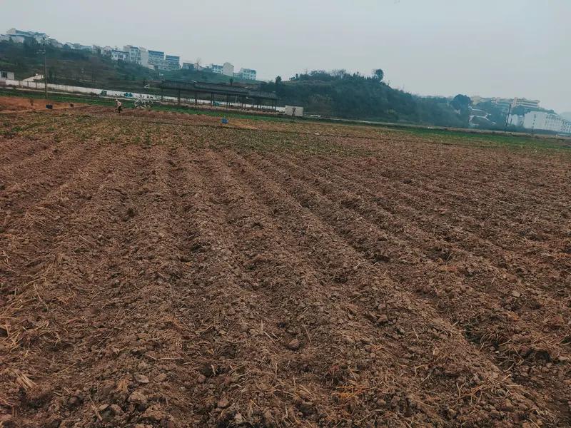 打工确实不是唯一的出路。在大城市打工，每天累死累活，房租、物价又高，到手工资所剩