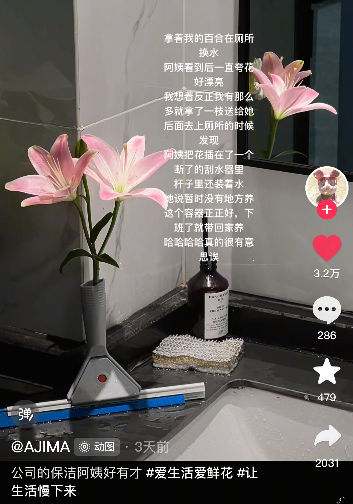 花的美不止开在花瓶里 ​​​