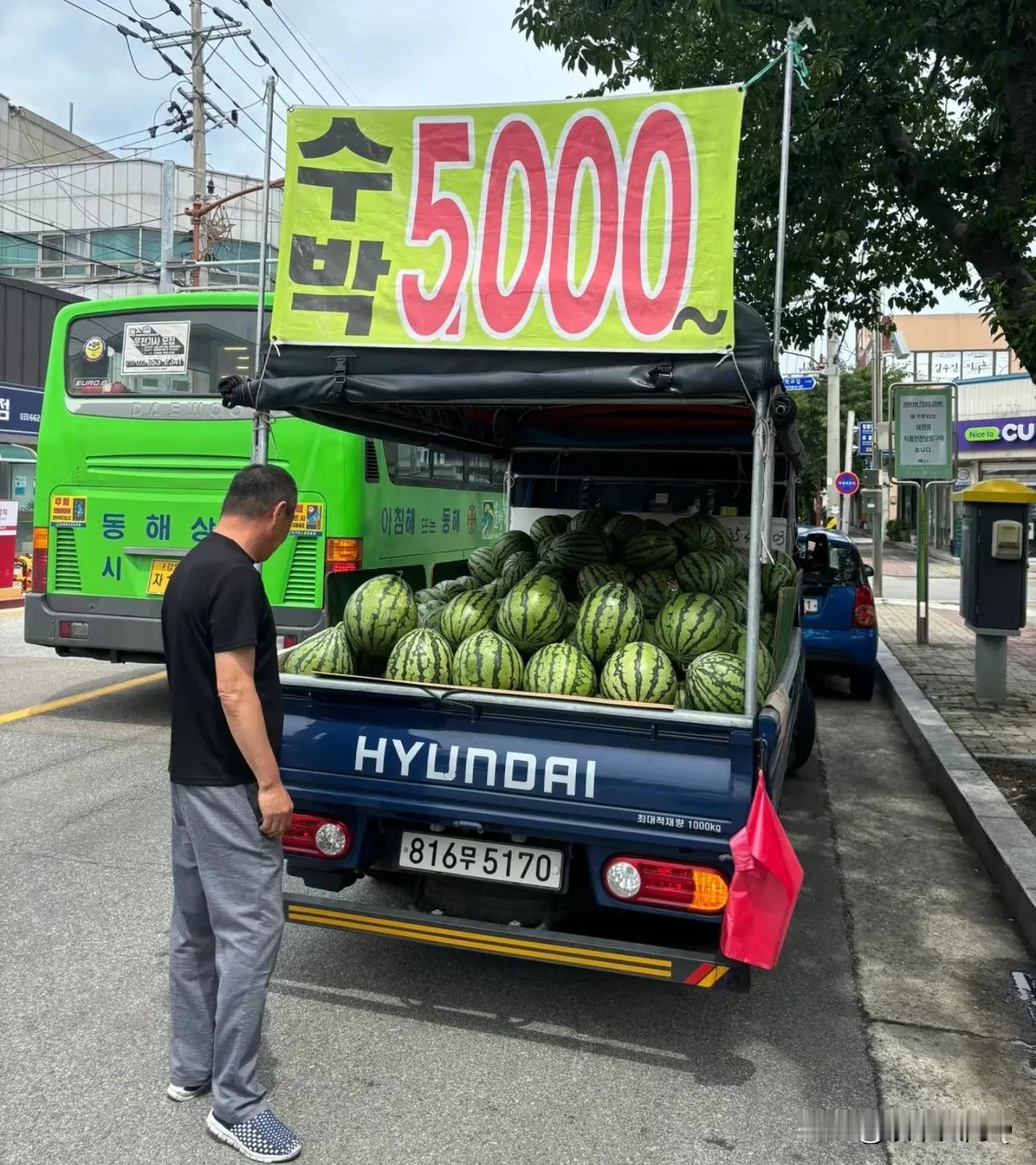 韩国🇰🇷西瓜彻底自由了！
麒麟瓜26人民币一个！这多好，不用担心缺斤少两！直