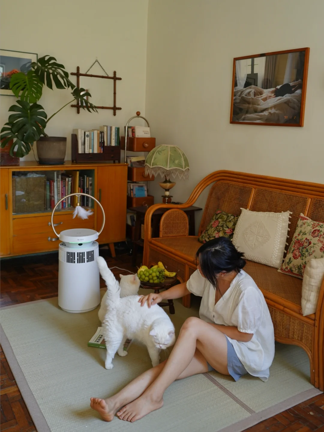 一楼带院自由职业养两猫，日子老派而浪漫。