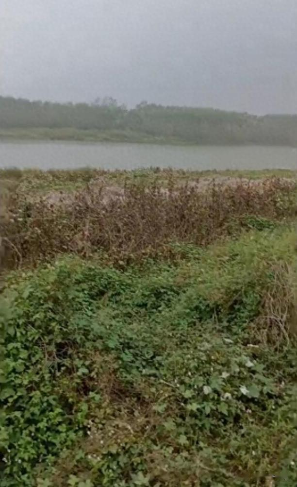 54岁男子夜钓被枪击，家属披露细节：4人当场逃跑，没有施救没