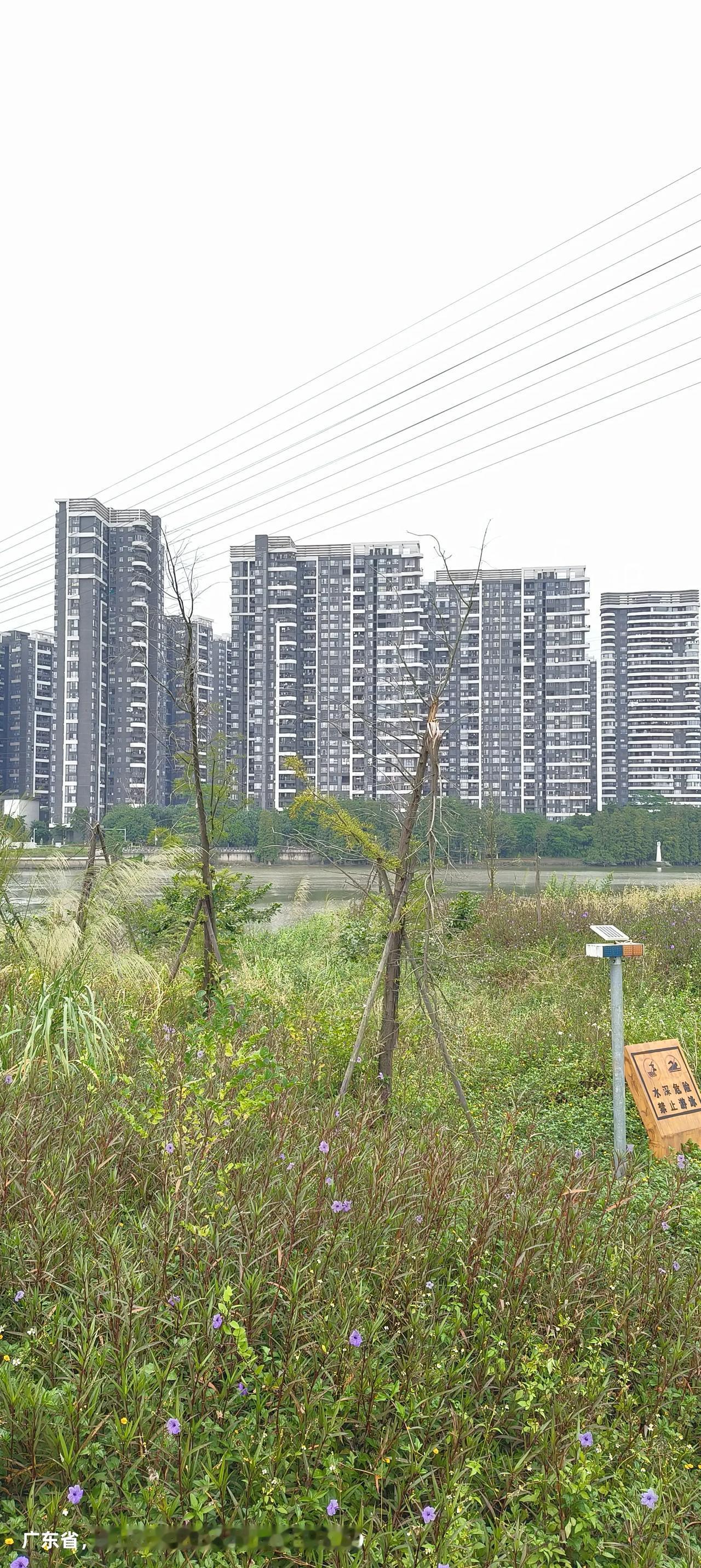 我们小镇出了一个在中央工作的名人，是八十年代的名牌大学生，那几年是在经济管理部门