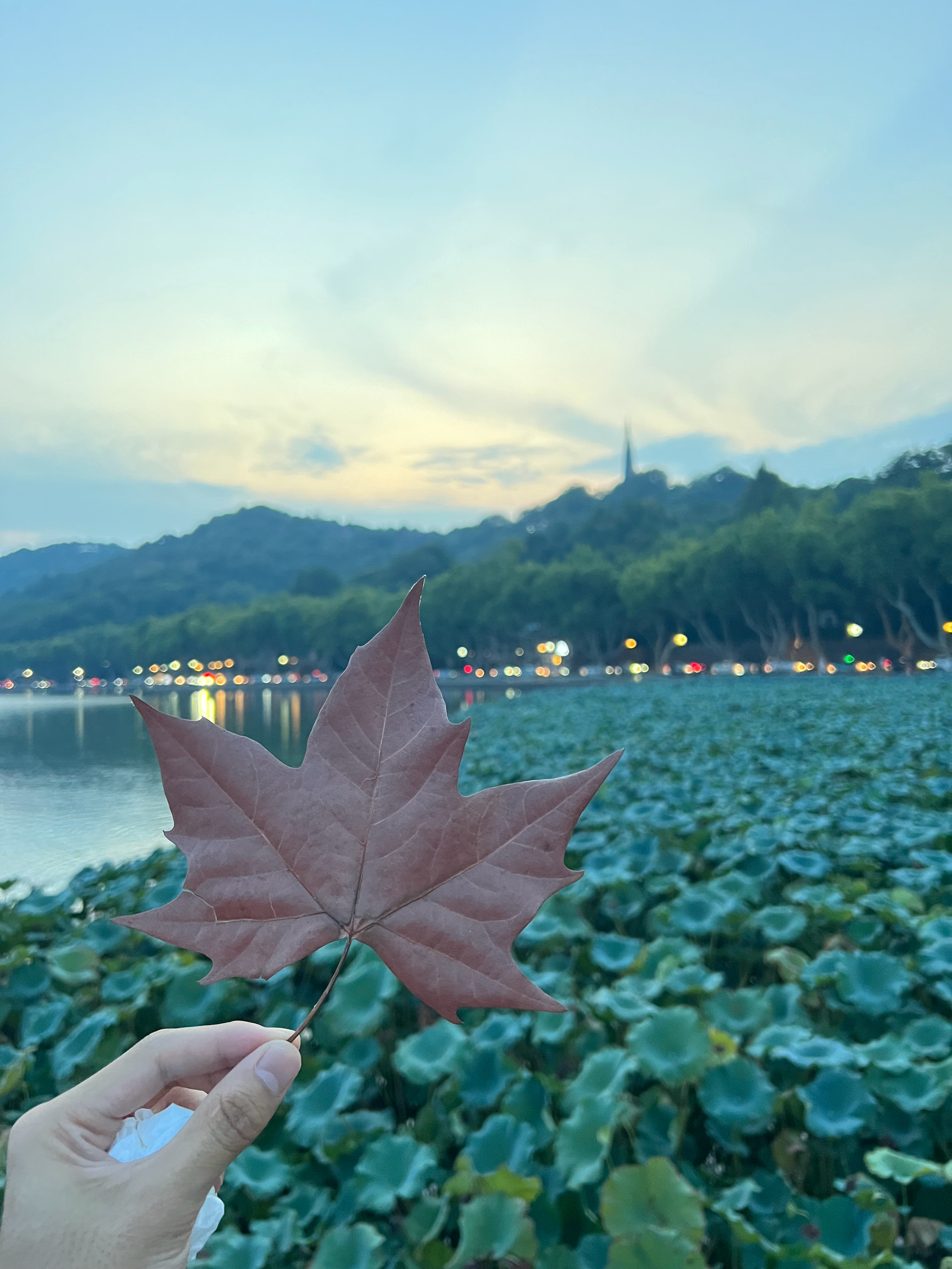 从什么时候意识到老了。 大概就是从今天。 这是一种电影里那种主角意识觉醒。 是《