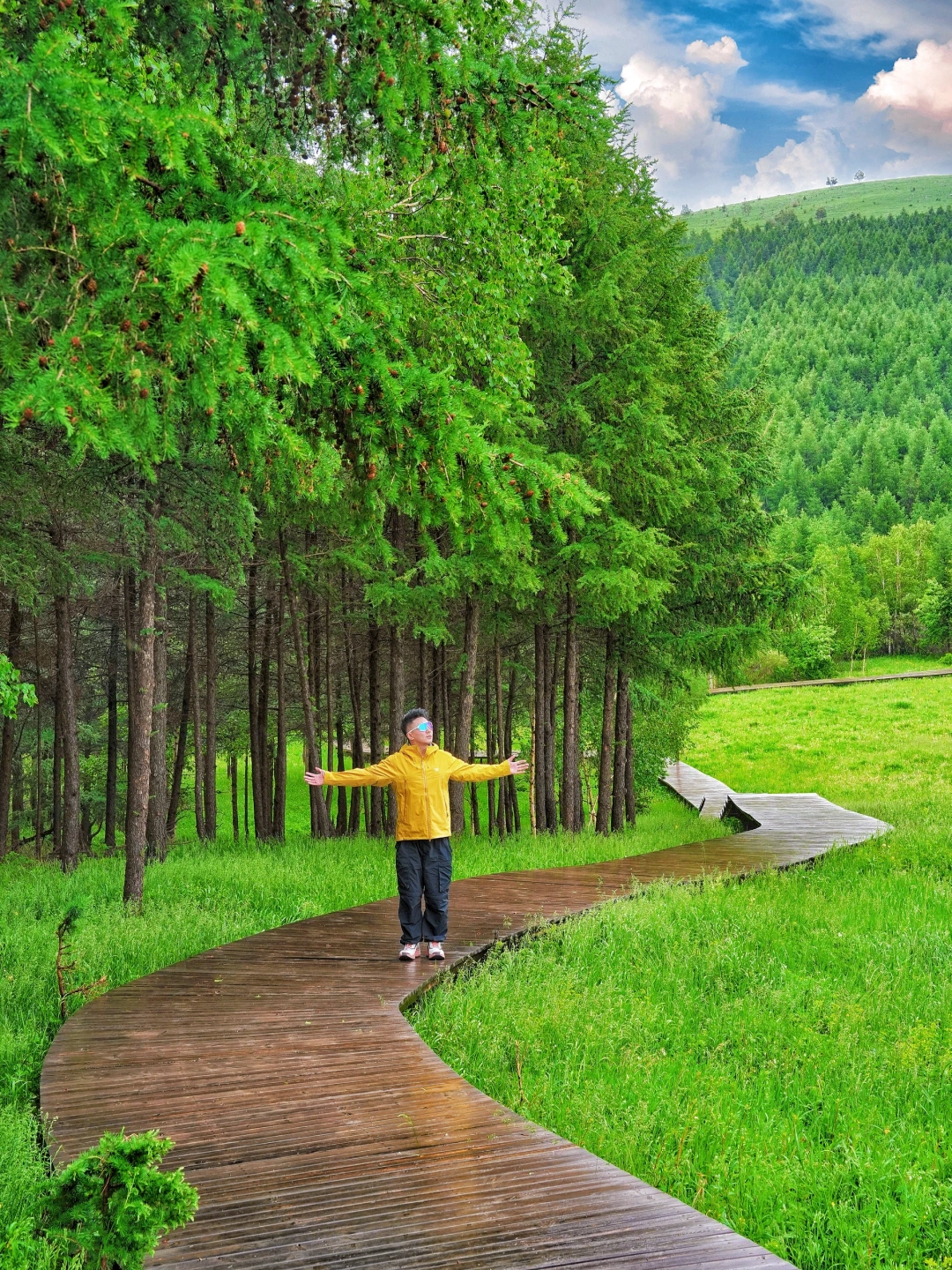 北京出发3h🚗严重被低估的童话森林秘境🌳