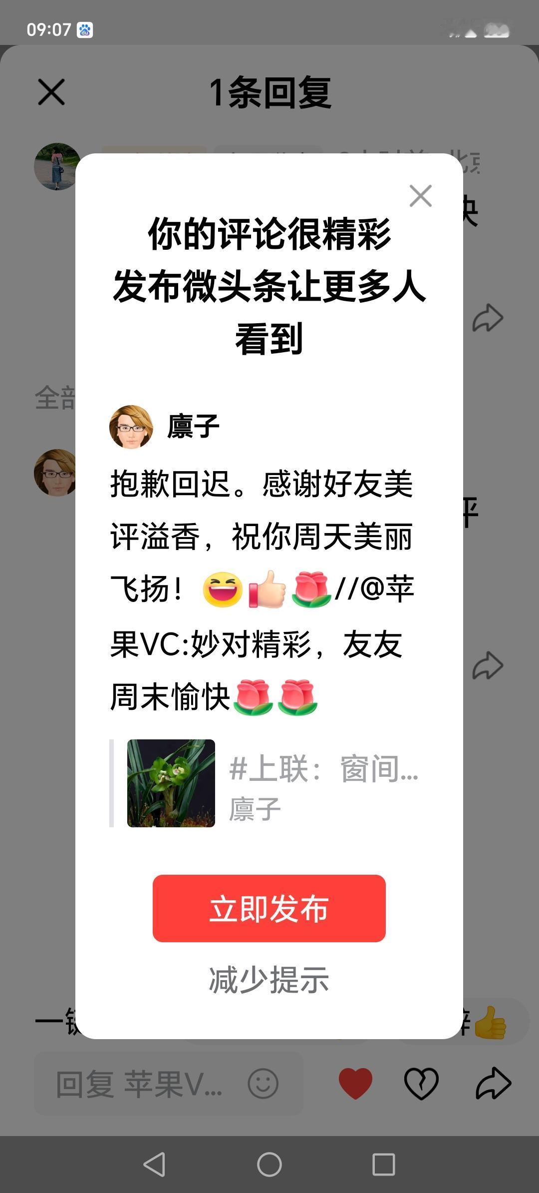 好友晨怡，芬芳美丽！[赞][玫瑰]