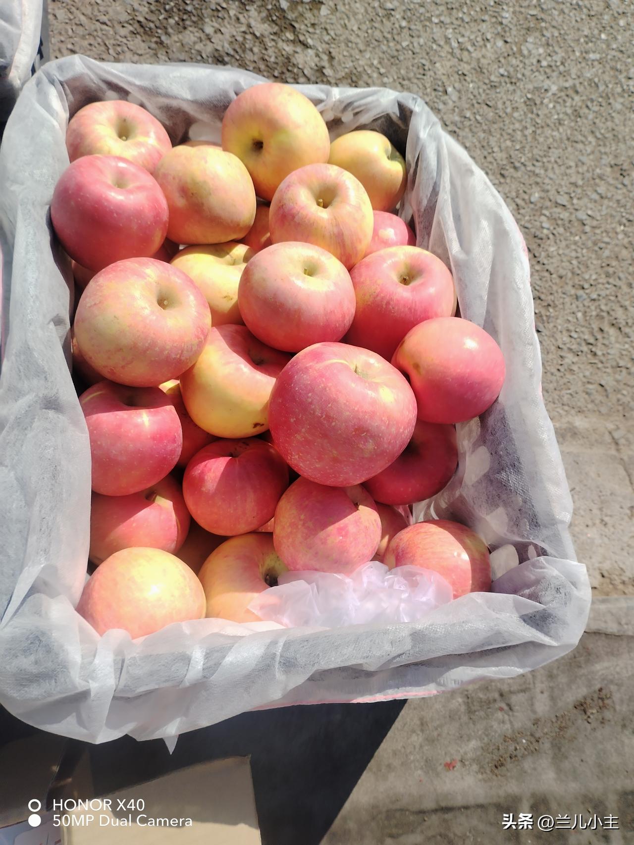 今天真好，收入了170块钱，给自己一个大大的赞。

头两天下雪，我一直没出去，今