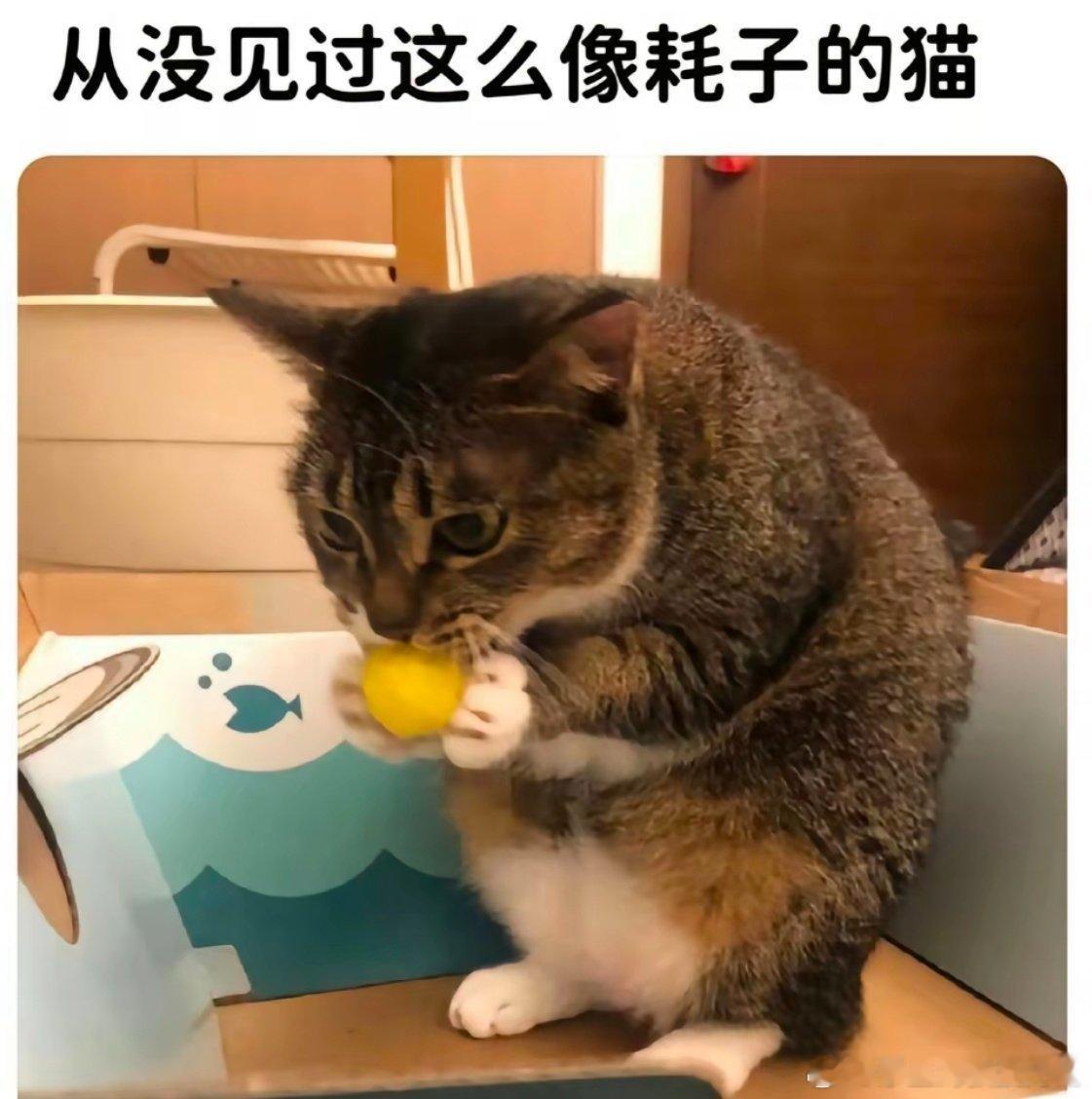 分享图片 ​​​