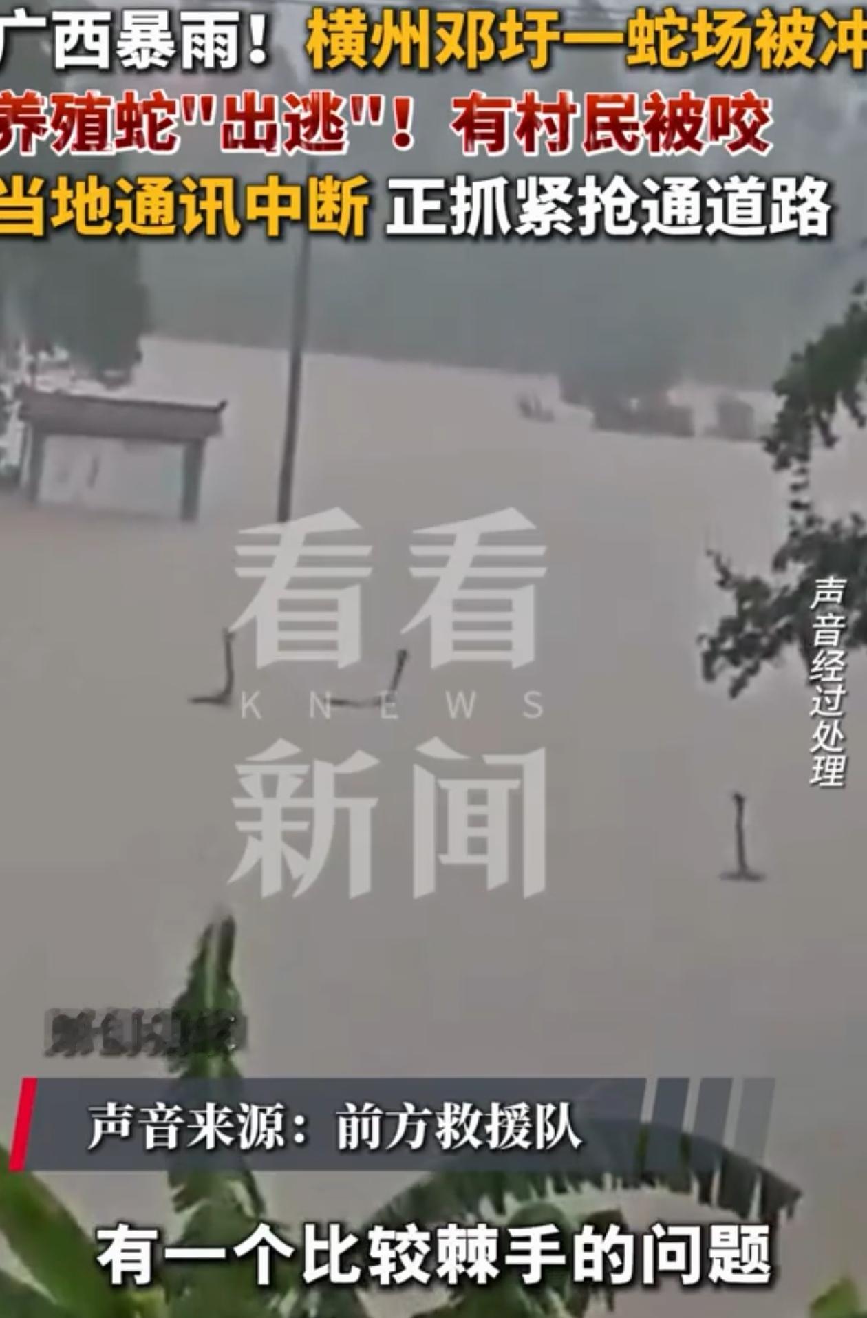 “太吓人了！”广西横州，男子在洪水里发现好几条奇怪的生物，它们脖子露出水面，脑袋