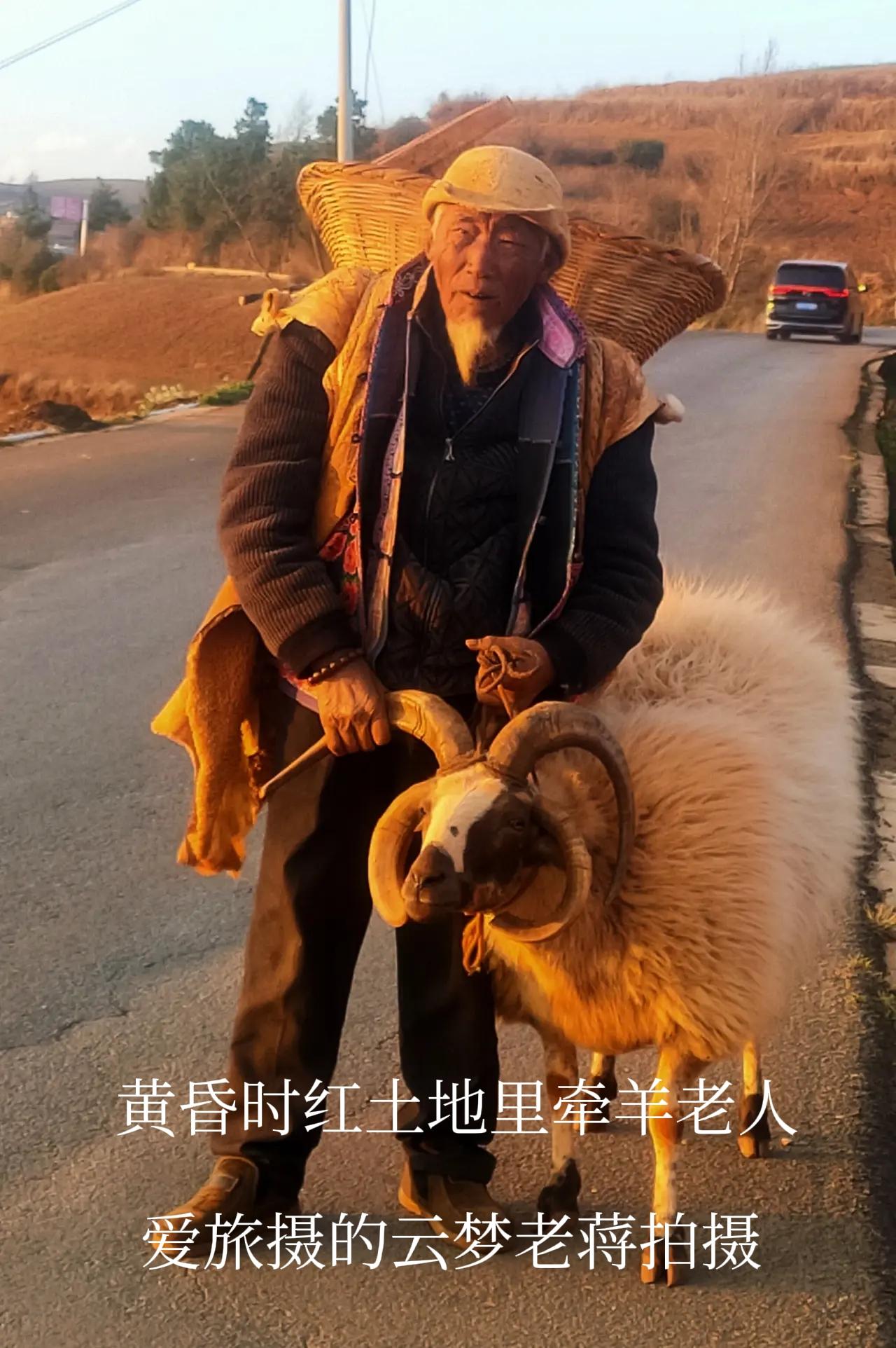 侬好上海呀
我在春暖花开的三月来到云南的红土地，我用手机拍了一张在红土地里一个牵