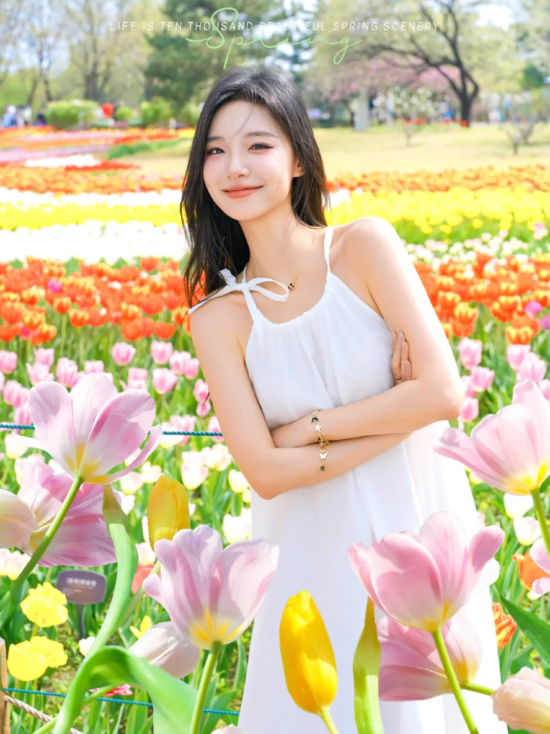 周末去植物园拍照了📷｜夹缝中拍的🌸