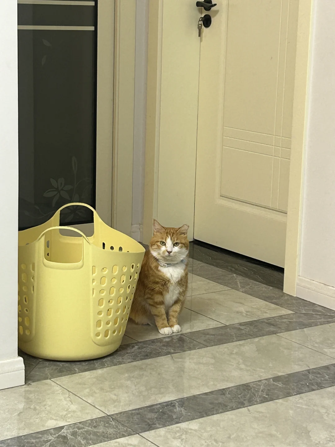 一张图拿捏姨姨😎今天是帅气小奋