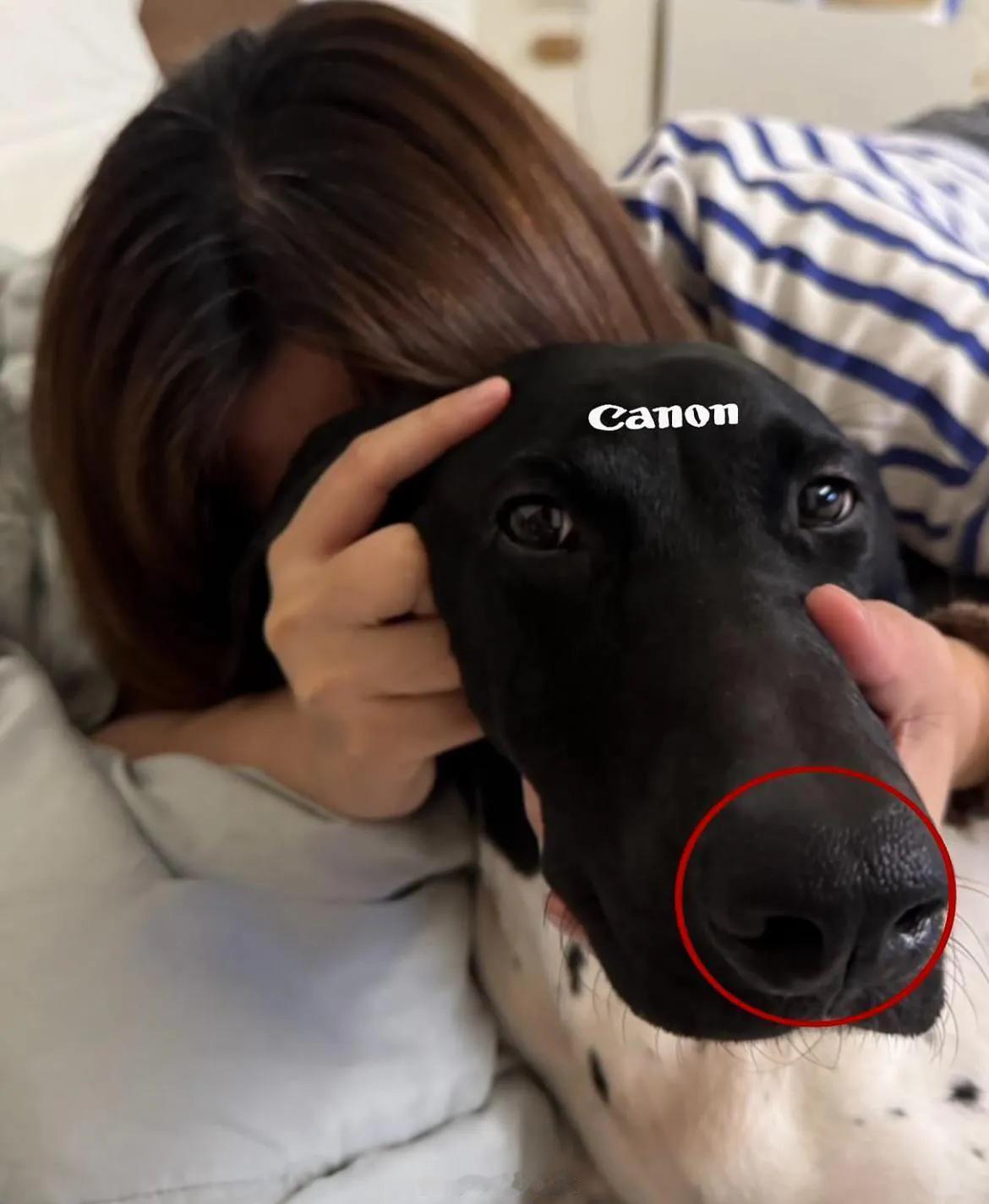 明天，有个期待已久非常牛逼的手机要到了，应该整个数码博主就我一个人有，独一份你们