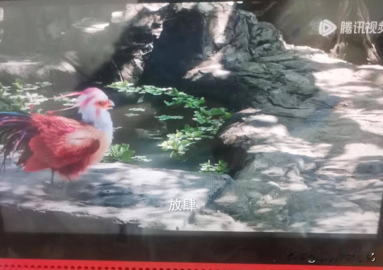 好看吗
