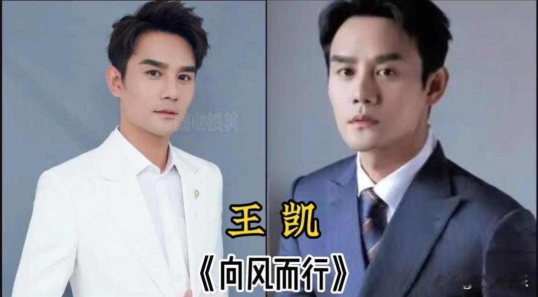 娱乐圈的男演员，各有各的代表作。有的靠一部剧火遍大江南北，有的靠实力一步步走到今