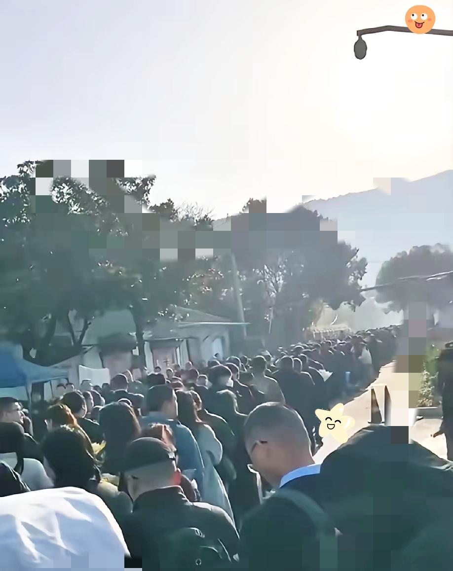 果然姜还是老的辣！
我问我爸，张老师不过是个网红，为什么他走后，这么多普通人打心