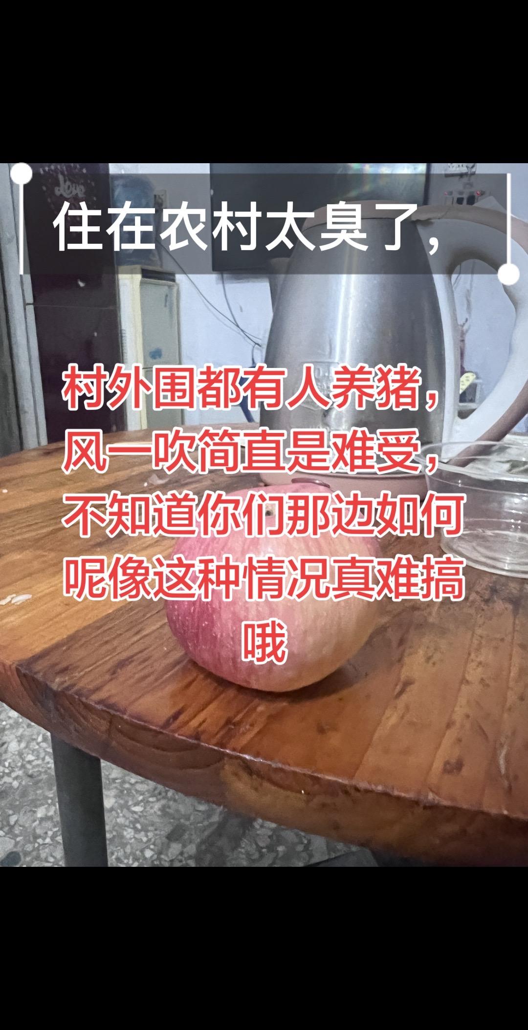 这几2年住在农村总是闻到臭味猪屎味，实在是让人难受，这不是说害谁，真的是臭味太大
