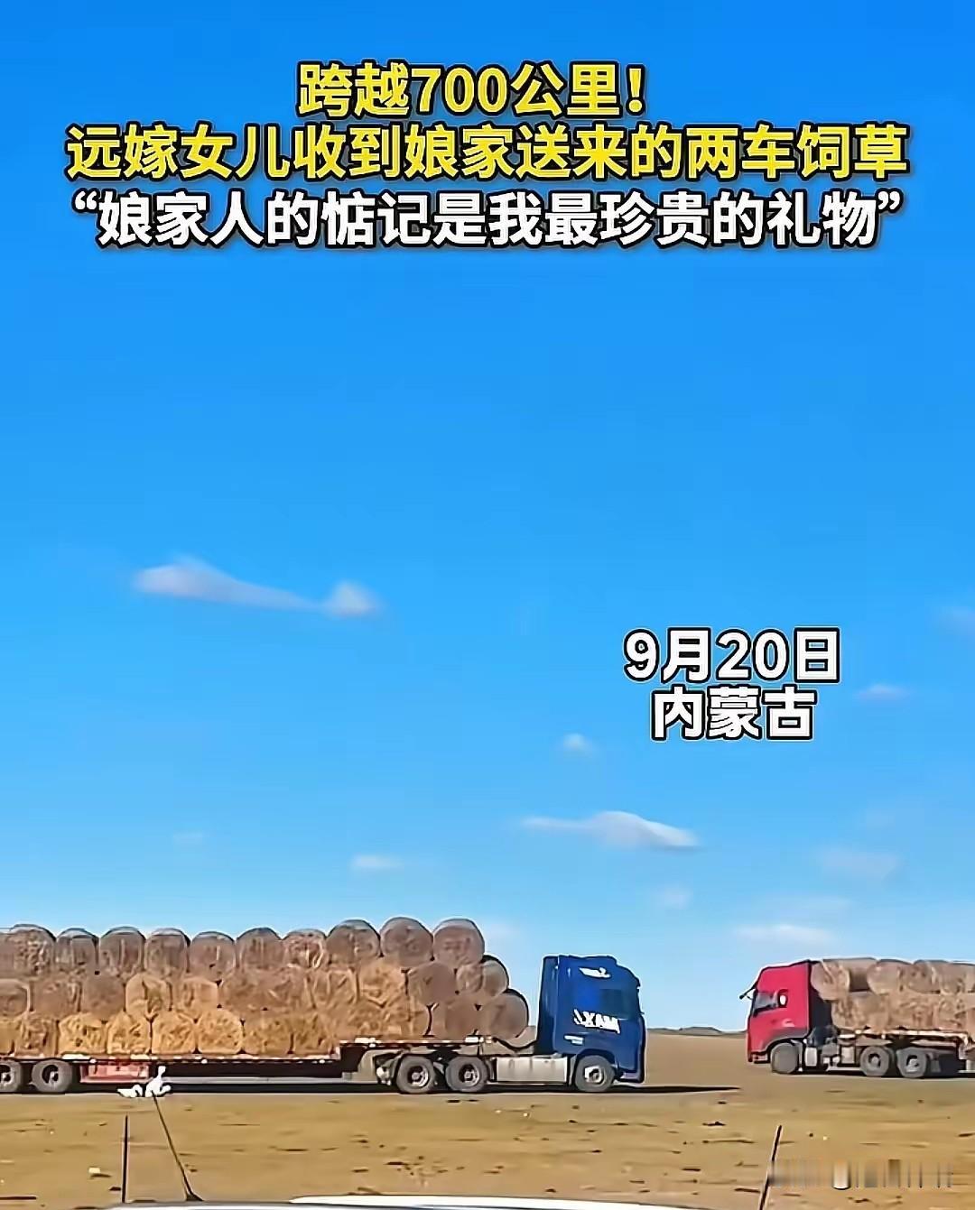 娘家人给的底气！内蒙古一女孩从兴安盟远嫁锡盟阿巴嘎旗，由于今年雨水不多，女孩那里
