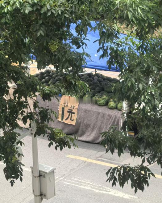西瓜都这么便宜了？？？海阔试车超话