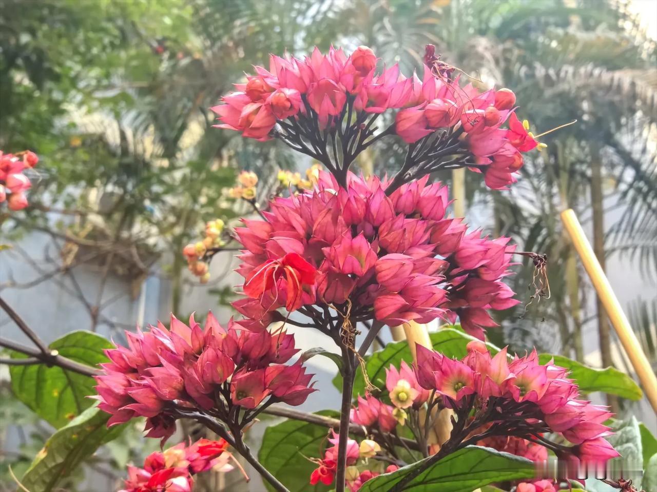 用一个词总结你的2024这一年！遇见美好，简单平淡，知足常乐，安于现状！【总结：