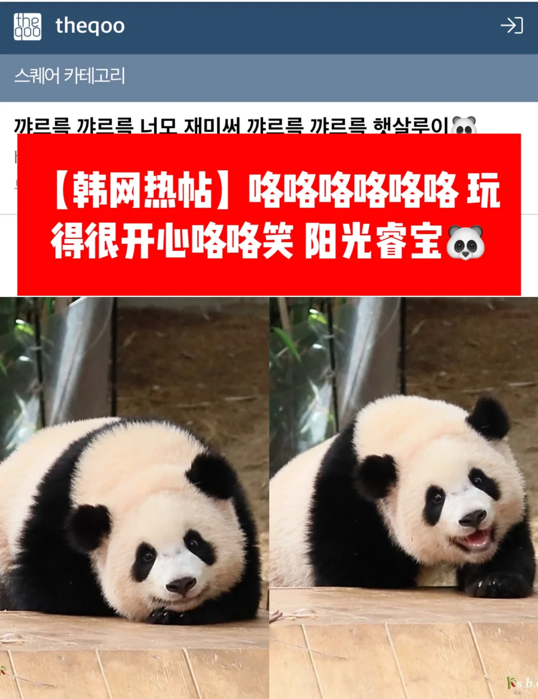 🔥韩网热帖｜和妈妈玩得很开心咯咯笑的睿宝