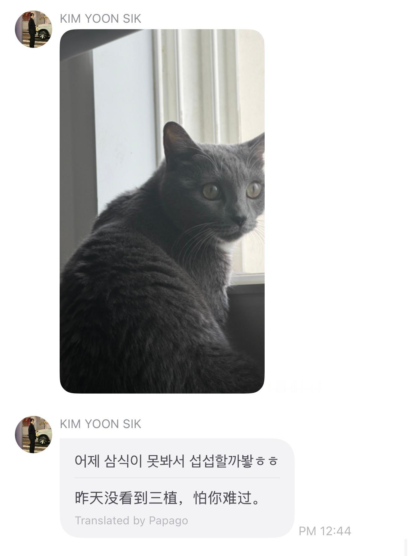 嘴上说着比起三植要喜欢我呀 还是一直惯着粉丝发猫片